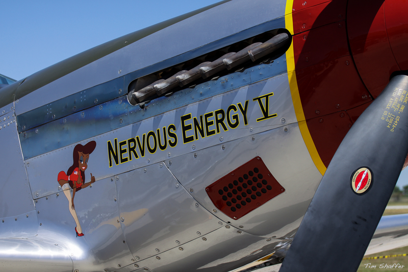 Illustration for article titled Mustang